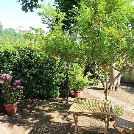 Le Coste Bed & Breakfast Veroli Eksteriør bilde