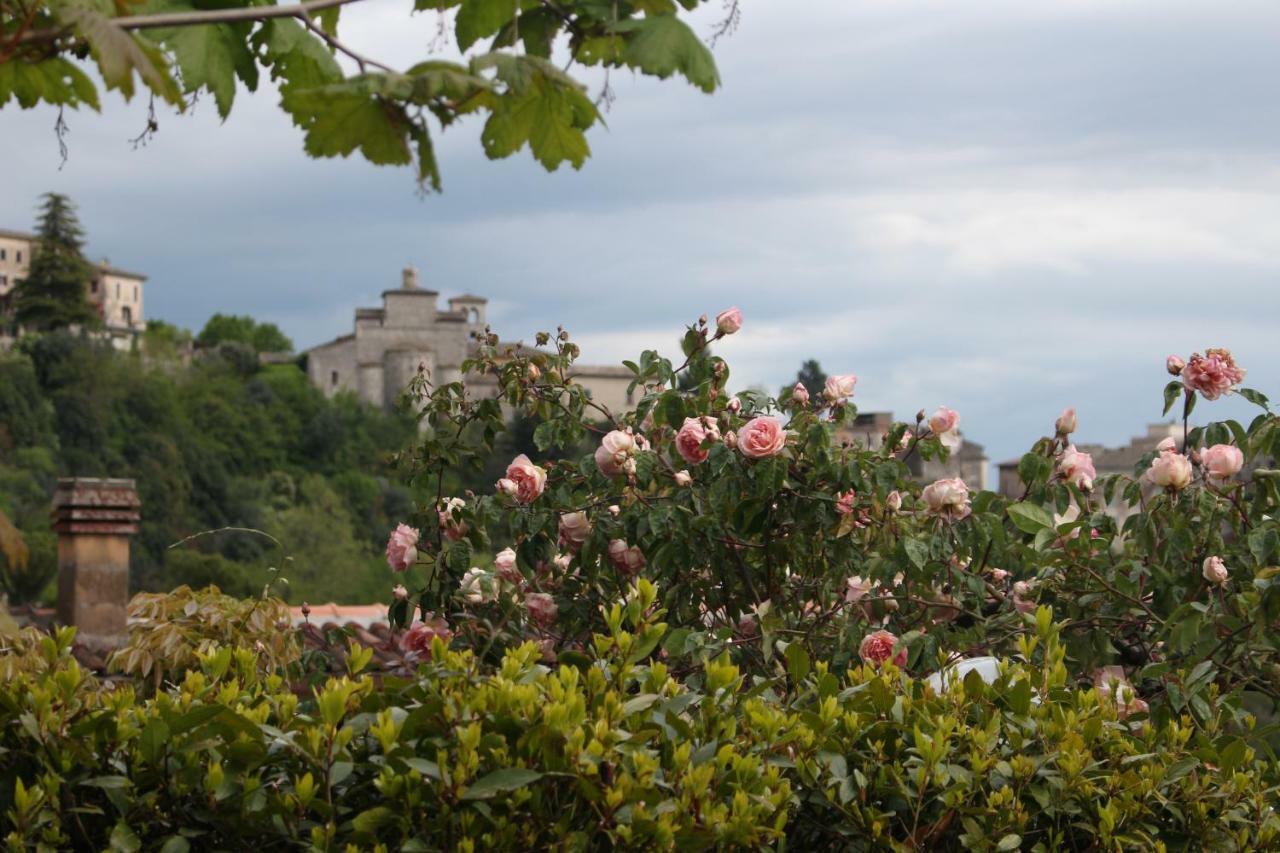 Le Coste Bed & Breakfast Veroli Eksteriør bilde